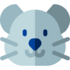 chinchilla