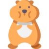 hamster