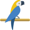 parrot (3)